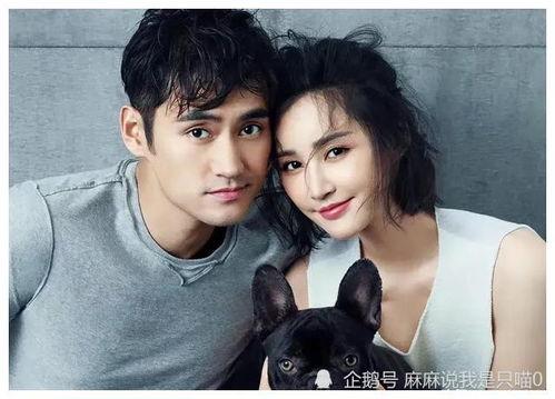 内娱明星大号吃瓜视频大全,揭秘娱乐圈幕后故事 第3张 内娱明星大号吃瓜视频大全,揭秘娱乐圈幕后故事 第3张