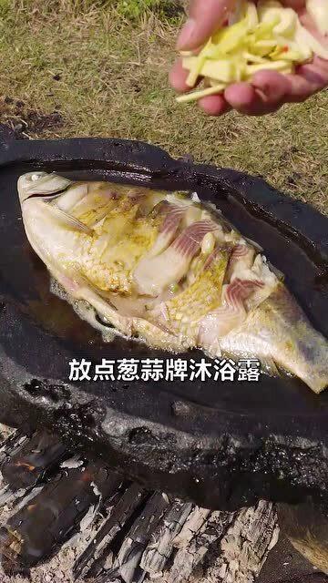 什么鱼吃瓜视频,揭秘瓜农与鱼儿的和谐共处  第3张