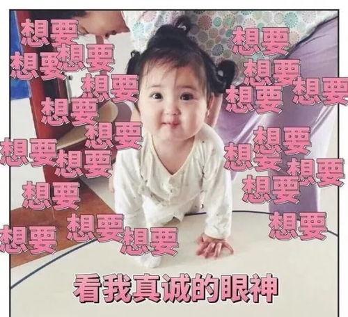 吵架吃瓜视频服务,吵架吃瓜视频服务，揭秘网络红人的幕后故事  第3张