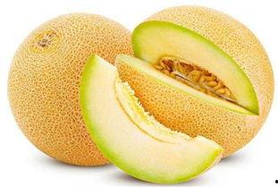 韩国奶奶吃哈密瓜视频大全,甜蜜瞬间全网传颂  第2张