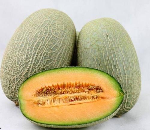 韩国奶奶吃哈密瓜视频大全,甜蜜瞬间全网传颂  第3张