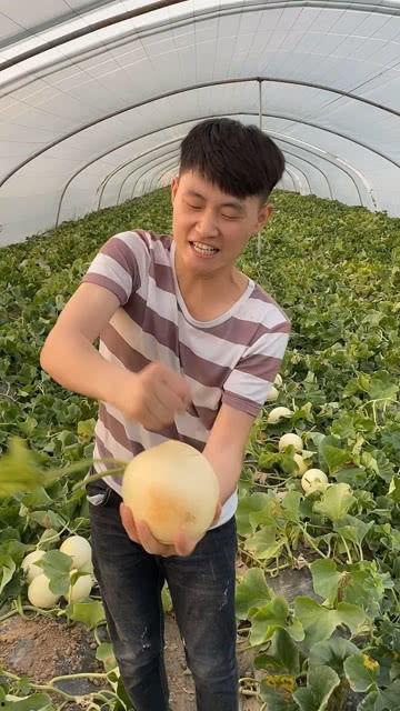 徒手劈瓜怎么吃最好视频