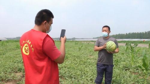 徒手劈瓜怎么吃最好视频  第2张