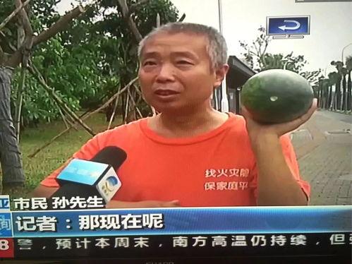 网曝热门吃瓜事件视频,揭秘幕后真相，带你领略娱乐圈风云变幻  第3张