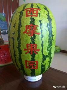 硒砂瓜能不能焖熟吃呢视频,美味焖熟，营养保留  第2张