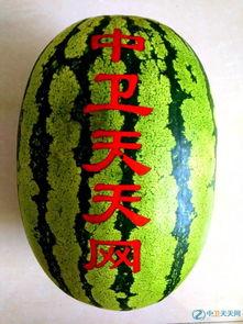 硒砂瓜能不能焖熟吃呢视频,美味焖熟，营养保留  第3张