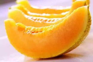 猴子吃哈密瓜桃子视频  第2张