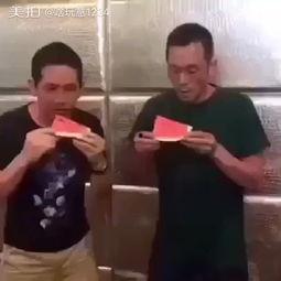 包租公吃瓜笑的视频,揭秘短视频背后的欢乐与智慧  第2张