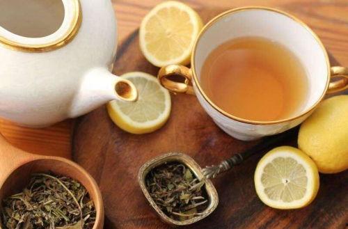 白爷喝茶吃瓜视频,品茗赏瓜，畅谈人生百态  第3张