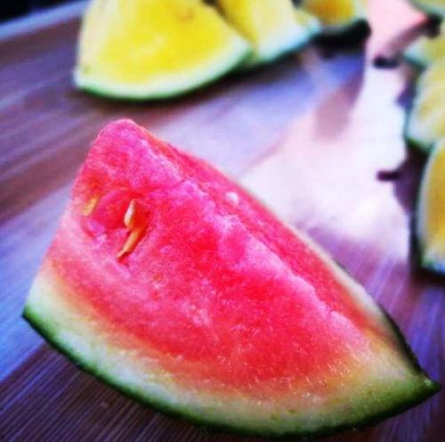 山东结婚吃瓜视频大全,一场场热闹非凡的婚庆盛宴