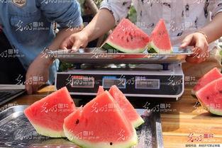 山东结婚吃瓜视频大全,一场场热闹非凡的婚庆盛宴  第2张