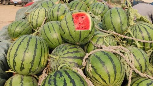 山东结婚吃瓜视频大全,一场场热闹非凡的婚庆盛宴  第3张