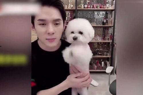 吃瓜女明星找狗视频  第2张