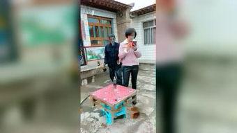 小分队在窗外吃瓜视频,小分队共享夏日悠闲时光  第2张