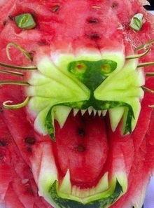 牛吃瓜视频大全,趣味横生的动物食趣集锦  第3张