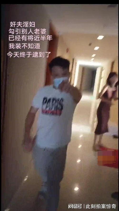 吃瓜跑单视频,一场惊心动魄的美食冒险之旅  第3张