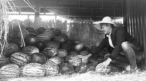 盛京吃瓜群众事件视频,一场网络舆论的风暴与反思 第2张 盛京吃瓜群众事件视频,一场网络舆论的风暴与反思 第2张