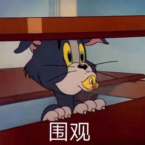 吃瓜小八沙雕动画视频,笑料百出，欢乐无限  第3张