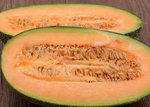 猿猴吃哈密瓜视频大全,哈密瓜盛宴视频大盘点 第3张 猿猴吃哈密瓜视频大全,哈密瓜盛宴视频大盘点 第3张