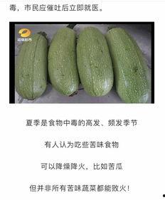 吃瓜群众种植大瓜视频  第2张