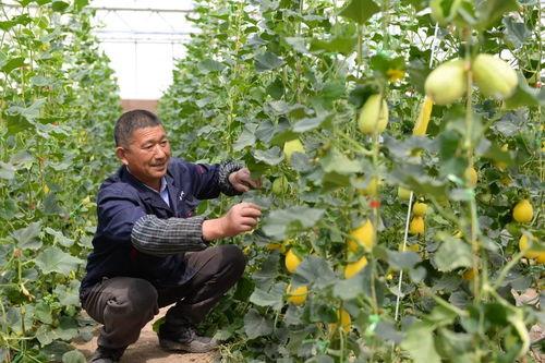 舟山吃瓜群众事件视频播放,网络热议背后的真相揭秘  第2张