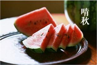 立秋吃烧瓜好吗图片及视频