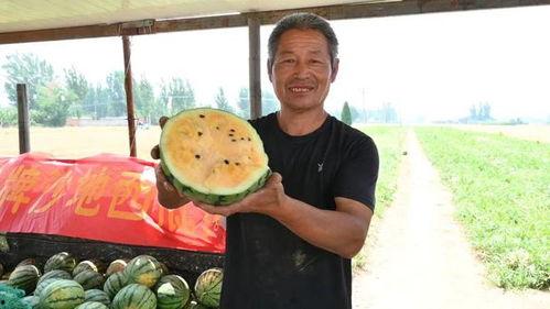 陇南最近吃瓜事件视频,一场网络热议背后的真相揭秘  第2张