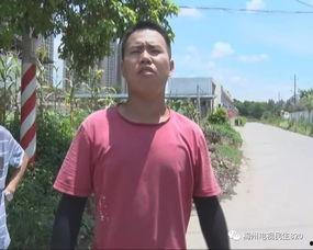 两车相撞吃瓜视频大全集,吃瓜群众直呼过瘾  第3张