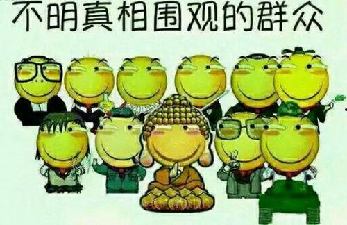 八卦动物吃瓜吵架视频在线观看,搞笑视频在线观看  第2张