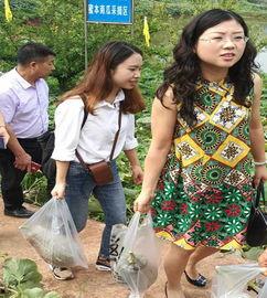 宜宾最新吃瓜事件视频播放,视频曝光引发网友热议  第2张