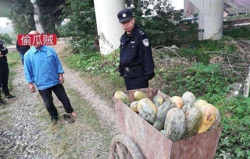 文安县吃瓜事件视频曝光,视频曝光引发社会关注  第3张