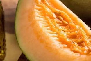 吃蜜瓜太甜了歌曲视频,蜜瓜诱惑——重温“吃蜜瓜太甜了”歌曲魅力