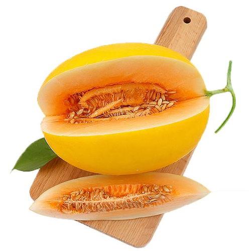 吃蜜瓜太甜了歌曲视频,蜜瓜诱惑——重温“吃蜜瓜太甜了”歌曲魅力  第3张